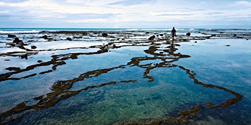 Carl Zeiss T POL Circular Photo Filter, 52mm, black (000000-1933-987)