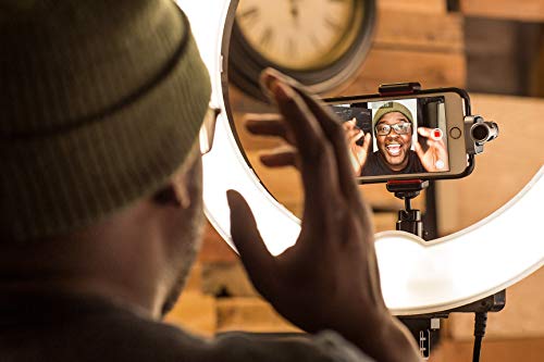 Shure MV88 Portable iOS Microphone for iPhone/iPad/iPod via Lightning Connector, Professional-Quality Sound, Digital Stereo Condenser Mic for Vloggers, Filmmakers, Music Makers and Journalists