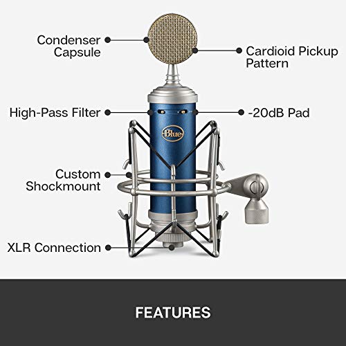 Bluebird XLR Condenser Microphone for Recording and Streaming, Large-Diaphragm Cardioid Capsule, Shockmount and Protective Case