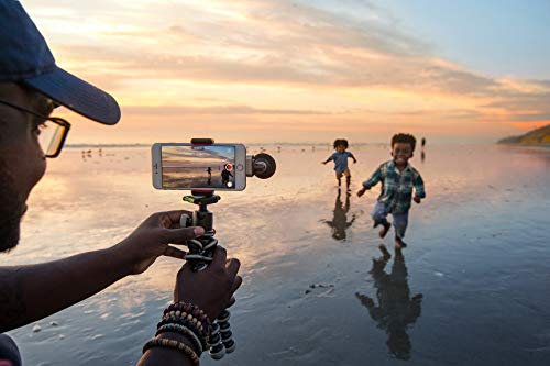 Shure MV88 Portable iOS Microphone for iPhone/iPad/iPod via Lightning Connector, Professional-Quality Sound, Digital Stereo Condenser Mic for Vloggers, Filmmakers, Music Makers and Journalists