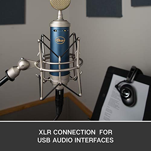 Bluebird XLR Condenser Microphone for Recording and Streaming, Large-Diaphragm Cardioid Capsule, Shockmount and Protective Case