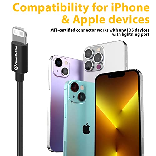 Micrófono Omnidireccional PowerDeWise Profesional Lavalier para iPhone Lightning