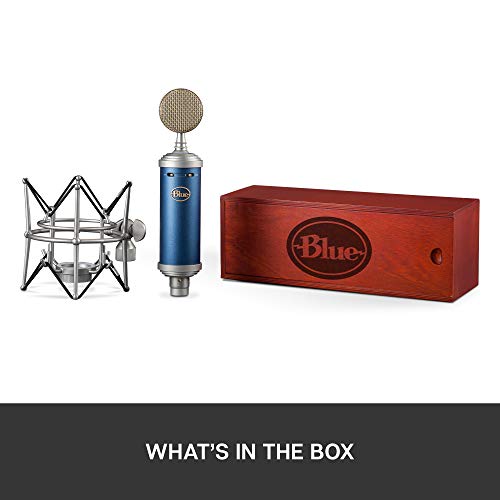 Bluebird XLR Condenser Microphone for Recording and Streaming, Large-Diaphragm Cardioid Capsule, Shockmount and Protective Case