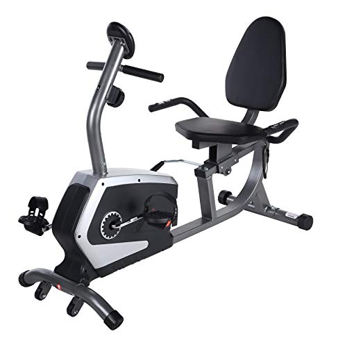 Bicicleta Fija Sunny Health & Fitness reclinable y magnética con monitor de frecuencia
