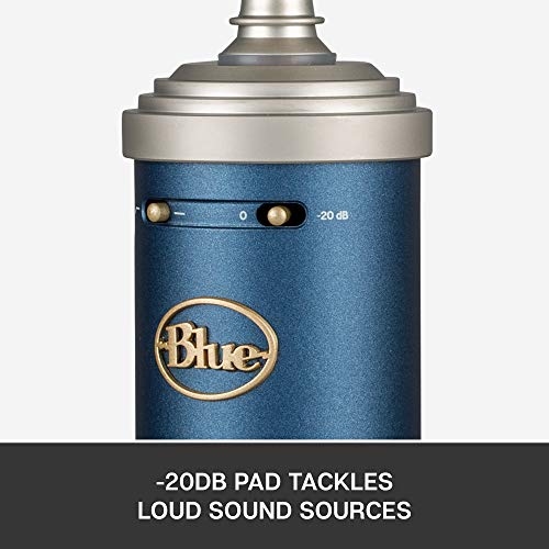 Bluebird XLR Condenser Microphone for Recording and Streaming, Large-Diaphragm Cardioid Capsule, Shockmount and Protective Case